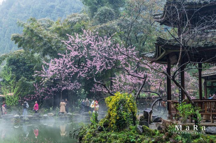 召唤神龙万宁版祖龙