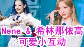 沪江开心词场